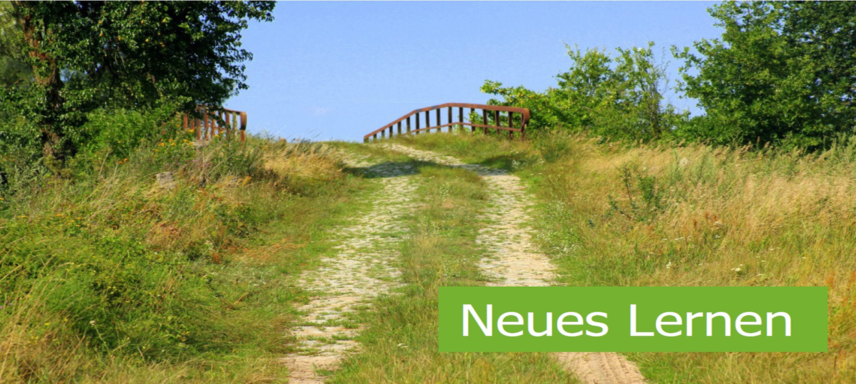 Neues Lernen