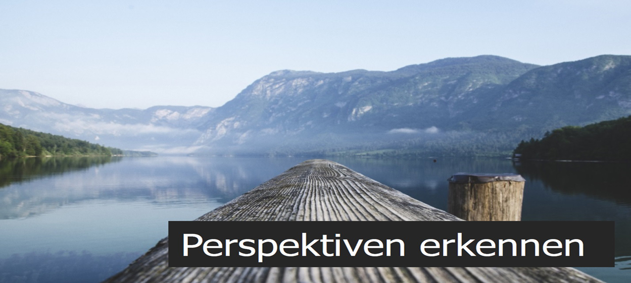 Perspektiven erkennen